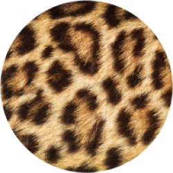 leopard-fur